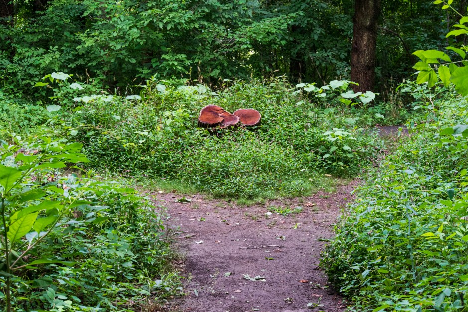 storytrails-johnchawthorne-12