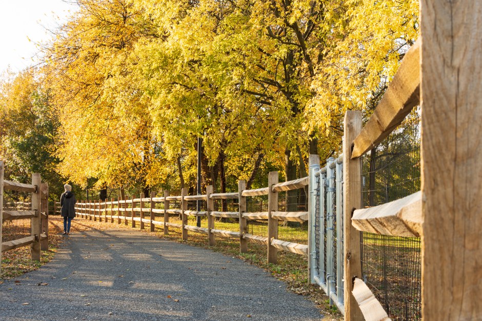 storytrailsnovember-johnchawthorne-25